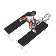 dips za triceps (između klupa) — fitness vježba