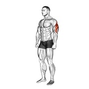 istezanje tricepsa — fitness vježba