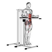 okomito podizanje nogu (na paralelama) — fitness vježba