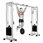 zgib s opterećenjem — fitness vježba
