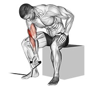 koncentracijski pregibi s trakom — fitness vježba