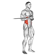 vodoravni Pallof potisak s trakom — fitness vježba
