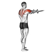 reverse fly s trakom — fitness vježba
