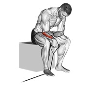 reverse pregibi zapešća s trakom — fitness vježba