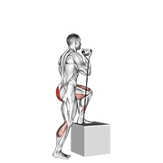 uspon na stepenicu s trakom — fitness vježba