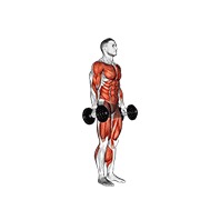 burpee s bučicama — fitness vježba