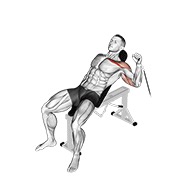 potisak jednom rukom na pozitivnoj klupi na sajli — fitness vježba