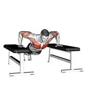 drop sklek — fitness vježba