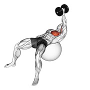 bučice jednoručno razvlačenje na lopti za vježbanje — fitness vježba