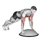 sklek na bosu lopti — fitness vježba
