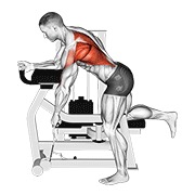 jednostrano veslanje na spravi — fitness vježba