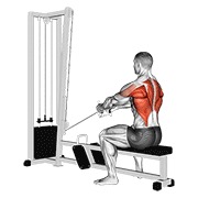gornje veslanje na sajli — fitness vježba