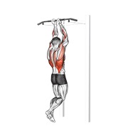 zgibovi uskim hvatom — fitness vježba