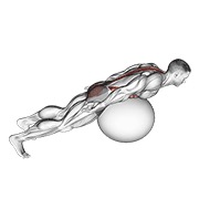 ispružanje leđa na lopti za vježbanje s rotacijom — fitness vježba