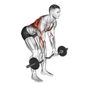 veslanje s pretklonom obrnutim hvatom s EZ šipkom — fitness vježba