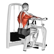 okomitno veslanje podhvatom na spravi — fitness vježba