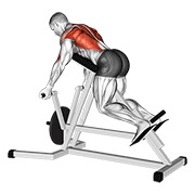 T-veslanje obrnutim hvatom na spravi — fitness vježba