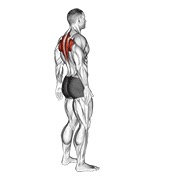 istezanje gornjih leđa — fitness vježba