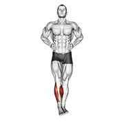kruženje gležnjevima — fitness vježba
