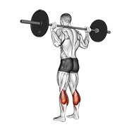 podizanje listova sa šipkom na podu — fitness vježba