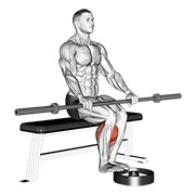 podizanje listova sjedeći sa šipkom — fitness vježba