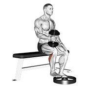 sjedeće jednonožno podizanje listova s bučicom – hvat čekićem — fitness vježba