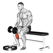 sjedeće jednonožno podizanje listova s bučicom – dlanovi gore — fitness vježba