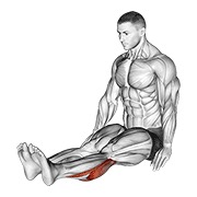 sjedeće istezanje listova (muško) — fitness vježba