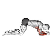 modificirani sklek do podlaktica — fitness vježba