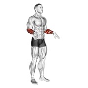 kruženje zapešćima — fitness vježba