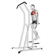 dipovi za prsa (na kavezu) — fitness vježba