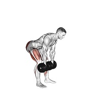 rumunjsko mrtvo dizanje s bučicama — fitness vježba