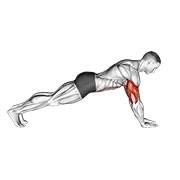 sklek na podlakticama — fitness vježba
