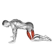 istezanje u položaju na sve četiri — fitness vježba