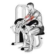 pregibi na Larry Scott klupi na spravi v. 2 — fitness vježba