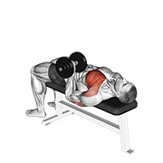 jednoručni potisak bučicom obrnutim hvatom — fitness vježba