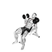 potisak s bučicama na pozitivnoj klupi neutralnim hvatom — fitness vježba