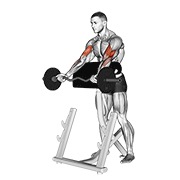 spider pregibi s EZ šipkom — fitness vježba
