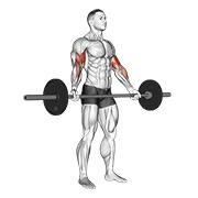 stojeći biceps pregibi širokim hvatom sa šipkom — fitness vježba