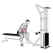 koncentracijski pregibi na sajli — fitness vježba
