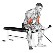 sjedeći pregibi na sajli — fitness vježba
