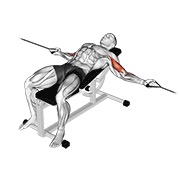 pregibi objema rukama na sajli na pozitivnoj klupi — fitness vježba