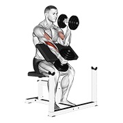 naizmjenični čekić pregibi na Scott klupi s bučicama — fitness vježba