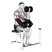 naizmjenični pregibi na Scott klupi s bučicama — fitness vježba