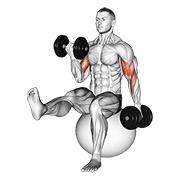 naizmjenični pregibi bicepsa s bučicama i nogom na lopti — fitness vježba