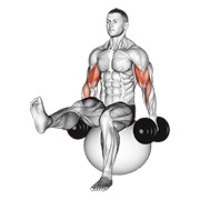 pregibi bicepsa s bučicama na lopti s podignutom nogom — fitness vježba