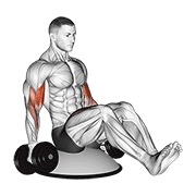 pregibi bicepsa s bučicama u V-sjedalu na Bosu lopti — fitness vježba
