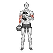 čekić pregibi preko tijela s bučicama v. 2 — fitness vježba