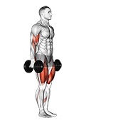 bučice iskorak s biceps pregibom — fitness vježba