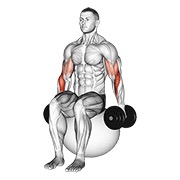 bučice čekić pregibi na lopti za vježbanje — fitness vježba